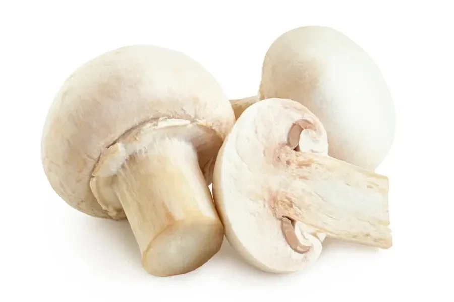 Champignon de Paris