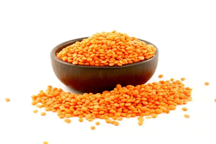 Lentille corail
