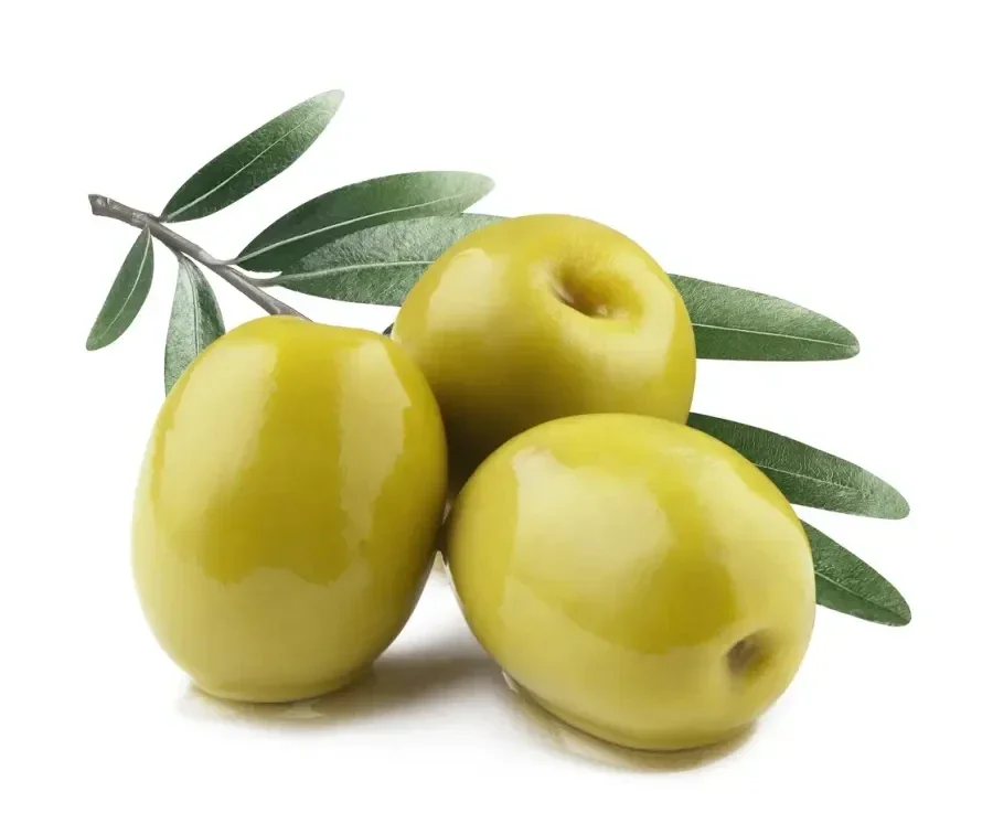 Olive verte