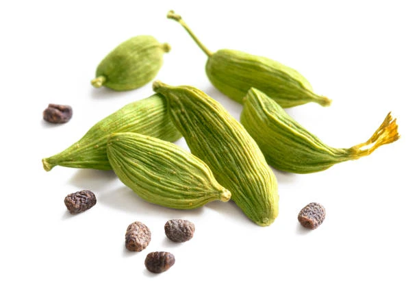 Cardamome - Image 2