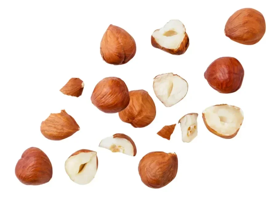 Noisette