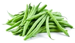 Haricot vert