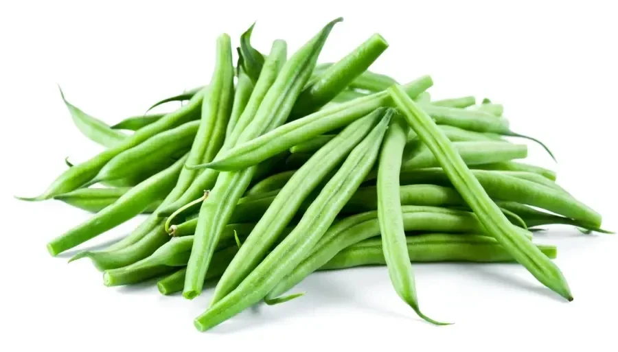 Haricot vert