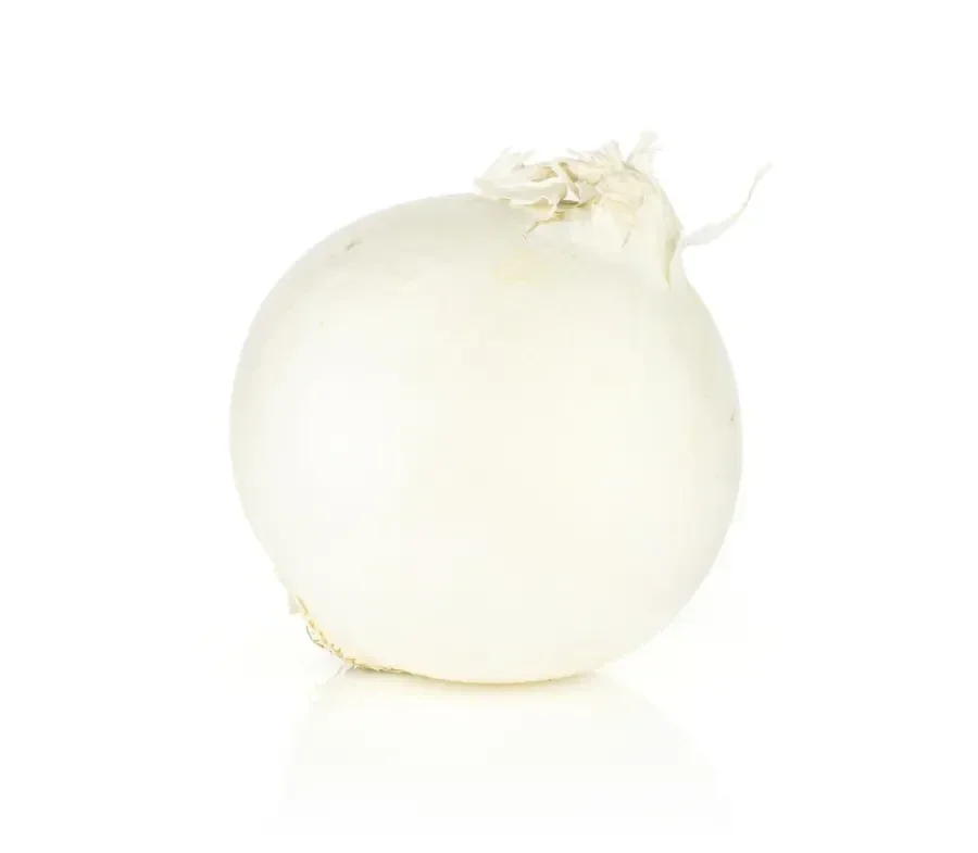 Oignon blanc