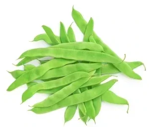 Haricot vert plat