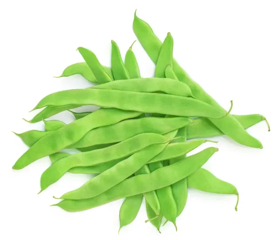 Haricot vert plat