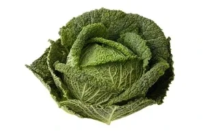Chou frisé