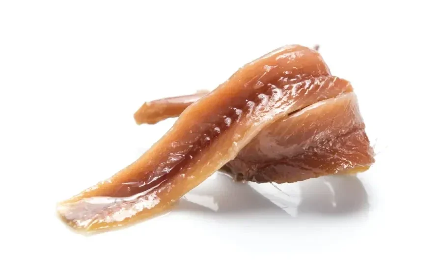 Filet d'anchois