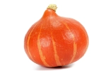 Potimarron