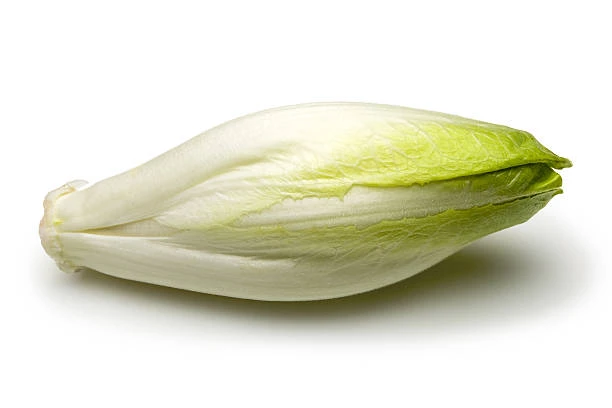 Endive