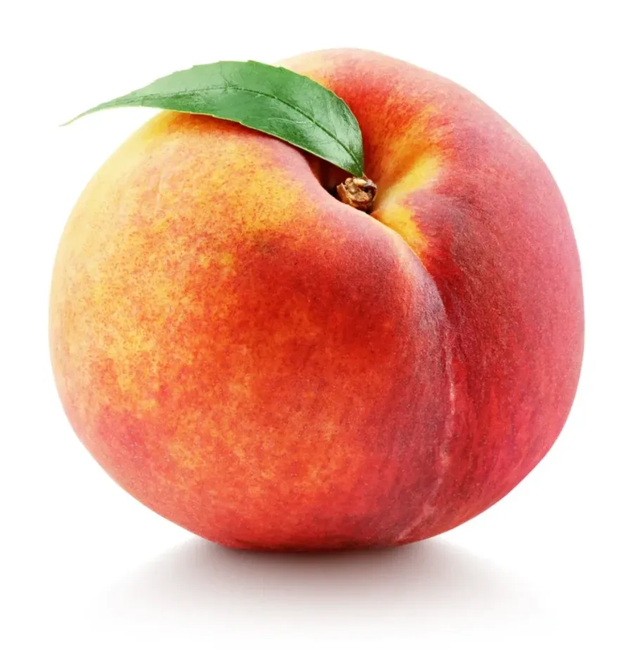 Pêche