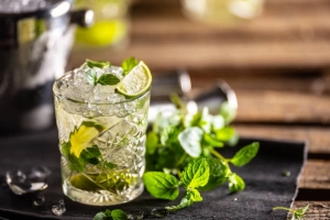 Virgin Mojito