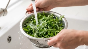 Étape 4: Lavez soigneusement la roquette à l'eau froide et...