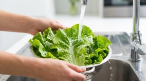 Étape 2: Lavez soigneusement la salade et la tomate. Séche...