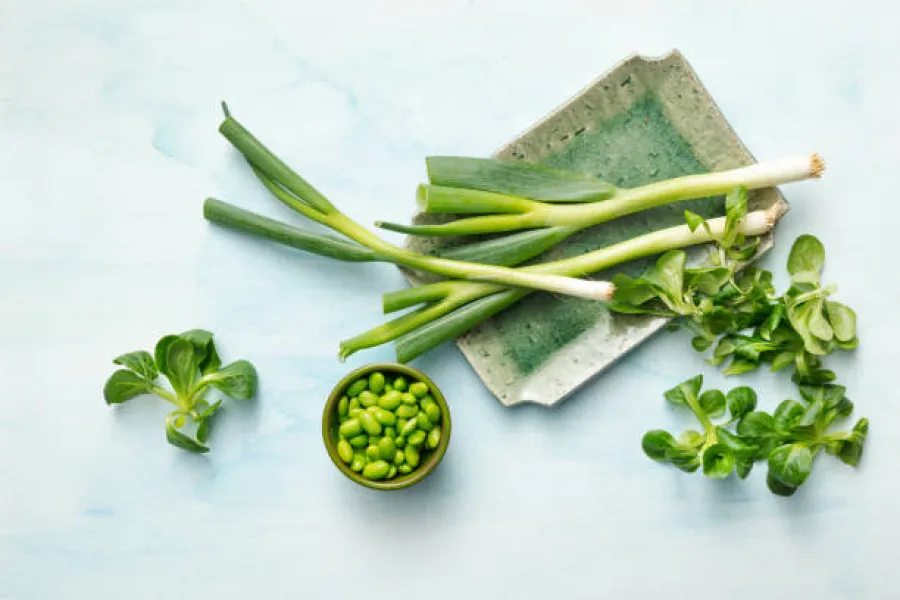 Vert tendre et jeunes pousses